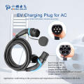 EV Charger Indoor Outdoor for electric vehicle Charging